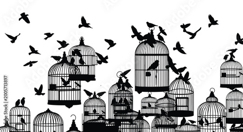 Fotografie Birdcage silhouettes collection black vector illustration on white background