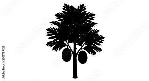 Quadro su tela Papaya tree silhouette against a white background