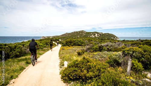 Scenic coastal path winds through lush greenery, leading toward a rocky island under a partly cloudy blue sky, with cyclists enjoying the landscape