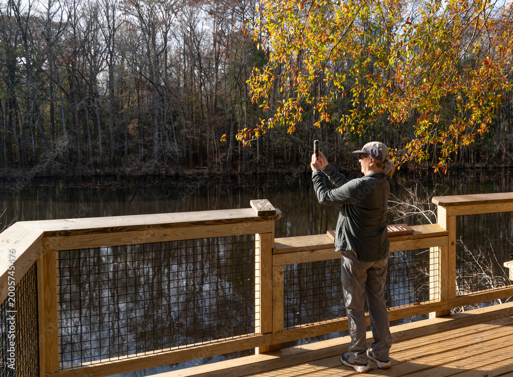 Fototapeta premium Woman standing on a dock in nature taking a smart phone photo
