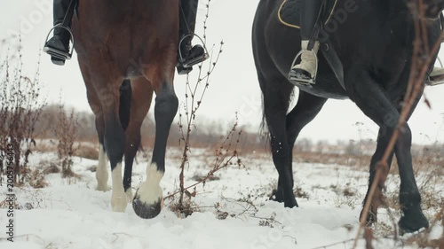Two horses walking in snow, lowangle close shot of tandem riders hooves and saddles moving across frozen field, muted winter light, quiet rural landscape, steady trot and synchronized rhythm conveying
