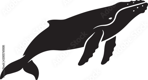 Bild auf Leinwand Silhouette of a humpback whale a majestic marine mammal in a simple vector illus