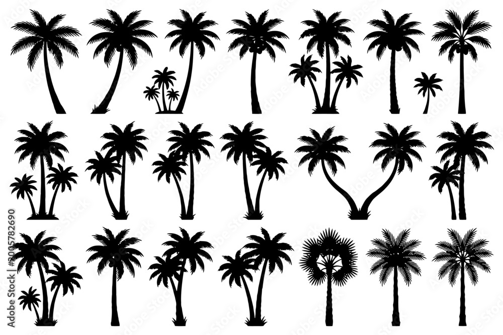 Fototapeta premium Variety of palm tree silhouettes in black and white.