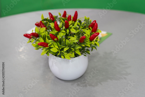 Cuadro en lienzo Artificial plant arrangement featuring red chili peppers and green leaves in a w
