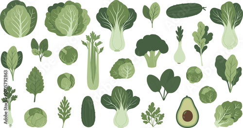 Flat design illustration of various leafy greens and vegetables, including cabbage, avocado, lettuce, and more, in a fresh and vibrant style.