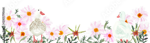 Tableau sur toile Illustrazione di due anatre tra margherite rosa e foglie verdi in stile acquerel