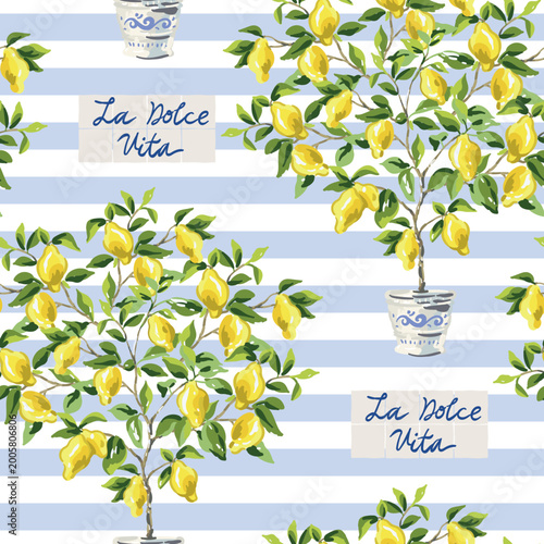 Lemon trees with yellow lemon fruits in the pots, text La Dolce Vita, striped blue and white background. Vector illustration. Seamless pattern. Summer trendy design. Italian coast