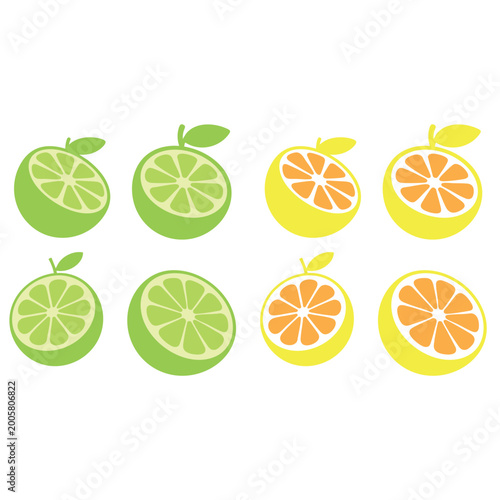 Fresh Citrus Slice Collection Illustration