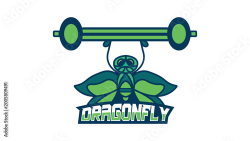 Dragonfly Mascot Logo Design.