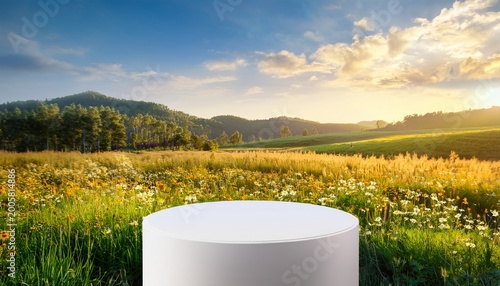 blank product display podium with summer flowers field meadow on background beauty skincare cosmetics presentation organic natural concept