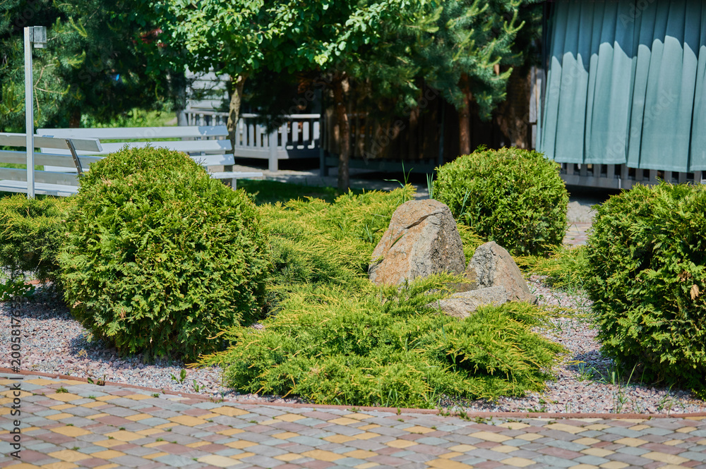 Fototapeta premium Tranquil garden scene with greenery and stones