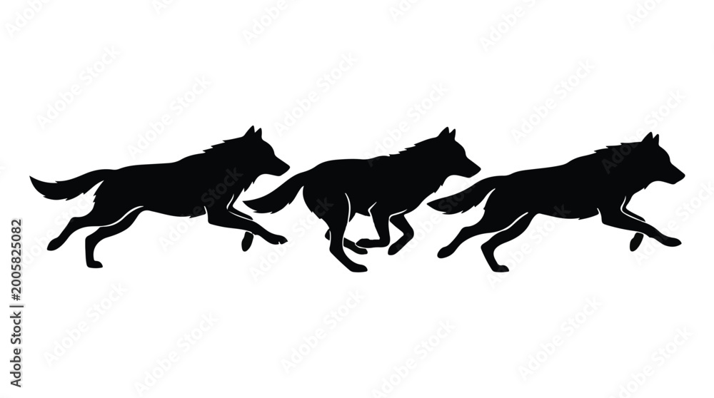 Fototapeta premium Black silhouettes of three wolves running together in unison on white background, dynamic wildlife illustration for conservation or animal concept