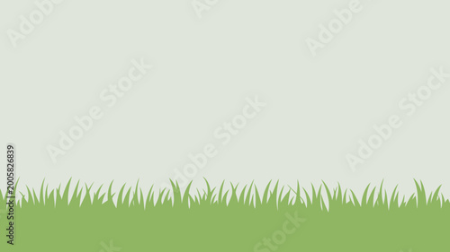 Green grass texture with blades for nature design projects