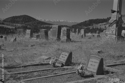 Tablou pe pânză Victor Cemetary