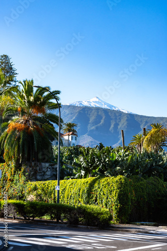 Walking in parks of Puerto de la Cruz, Tenerife North, tropical trees, green bushes, beach, Teide view, local architecture, tourists destination, Spain