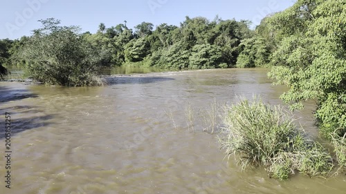 Trees in the flowing waters of the Iguazu River in Iguazu National Park and Reserve in Argentina.
