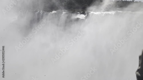 View of the Iguazu River in the Iguazu National Park Reserve in Argentina.
