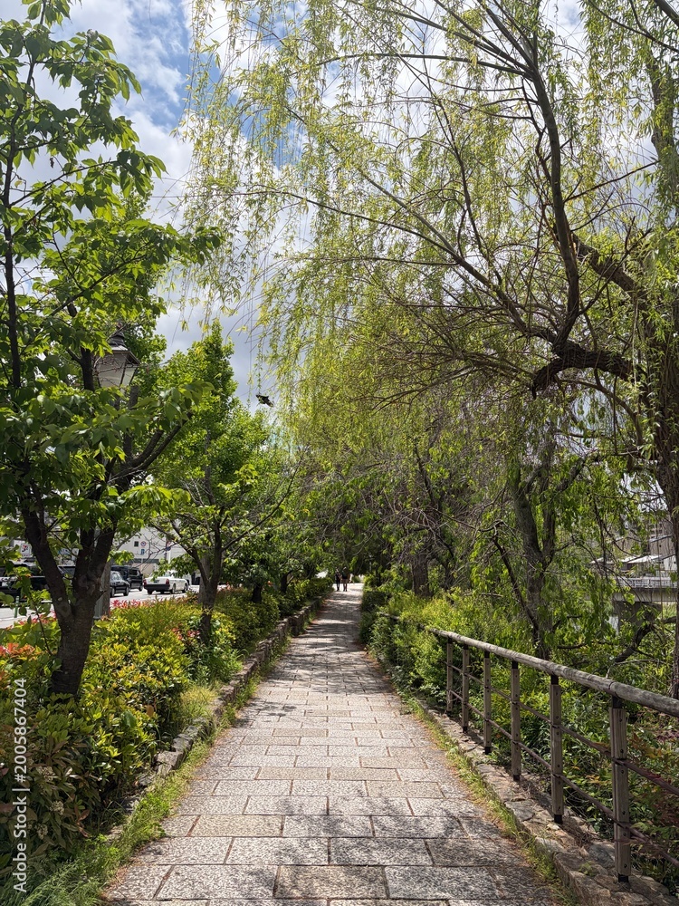 Fototapeta premium path in the park