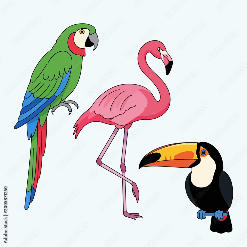 Obraz premium Colorful Parrot, Flamingo, and Toucan Tropical Birds Collection