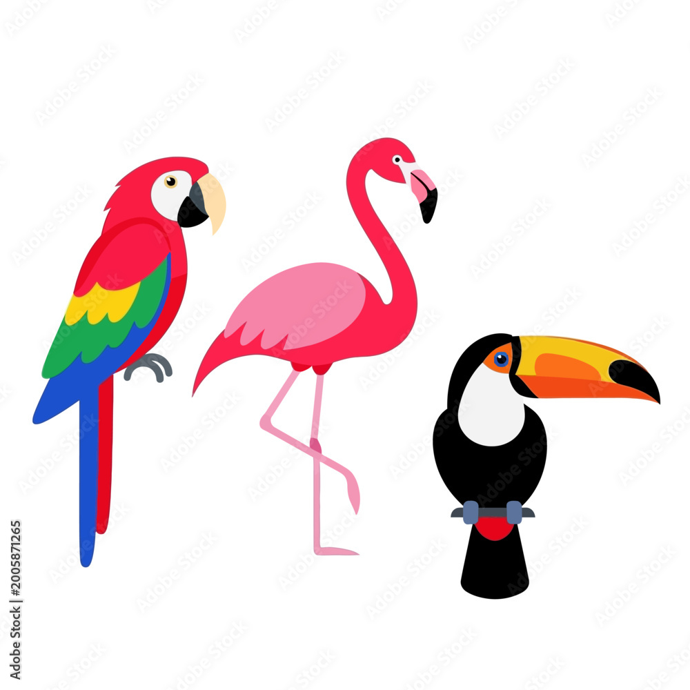 Obraz premium Colorful Tropical Birds: Parrot, Flamingo, Toucan
