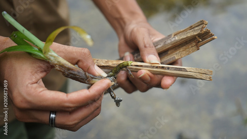 Photos Sea Grass Restoration Tools Man Prepares Plant for Marine Habitat Recovery