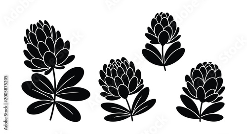 Foto Adobe Illustrator Artwork