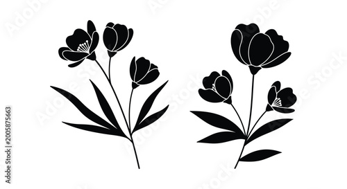 Konstfotografi Adobe Illustrator Artwork