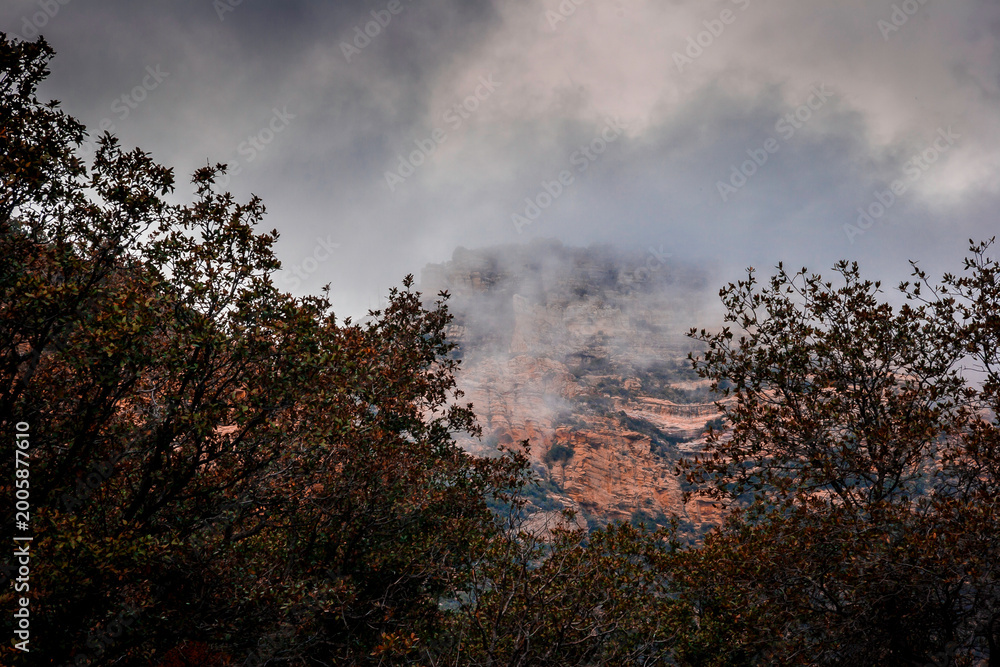 Fototapeta premium Arizona fog