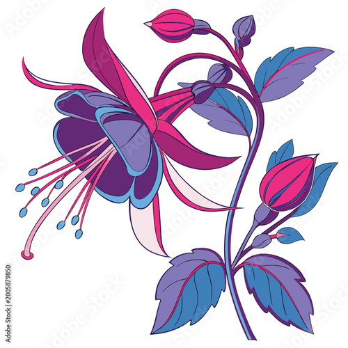 Tableau sur toile aconite colorful on white background