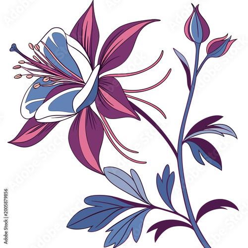 Foto aconite colorful on white background