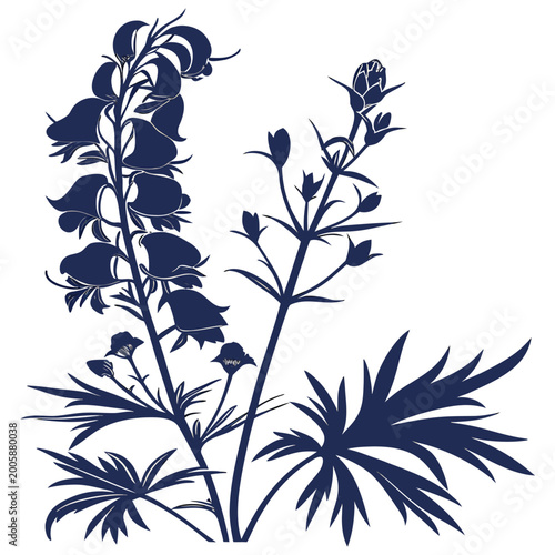 Foto aconite silhouette on white background