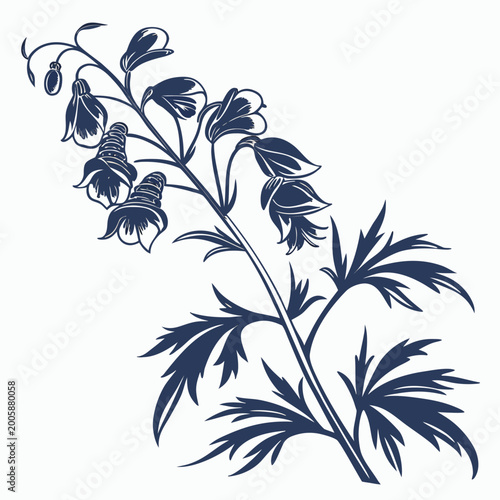 Foto aconite silhouette on white background