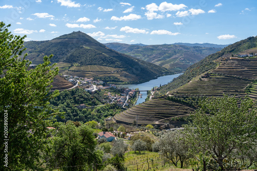 Duoro valley scenery with the town of Pinhao nestled between hills and the river. Viewed from above amongst trees and vineyards