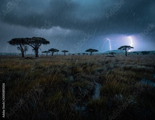 Stormy African Savanna with Lightning and Heavy Rain