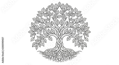 Intricate Tree of Life illustration, mandala style, roots and branches, black and white