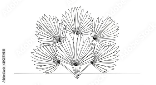 Intricate line art depiction of a blooming flower with detailed petal patterns emphasizing elegance and natural symmetry in a