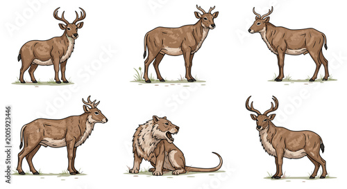 Canvas Print A collection of illustrations depicting various deer species and a prehistoric mammal, showcasing their distinct physical characteristics and poses
