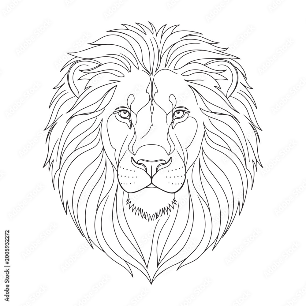 Fototapeta premium majestic lion head portrait minimalist line art vector illustration