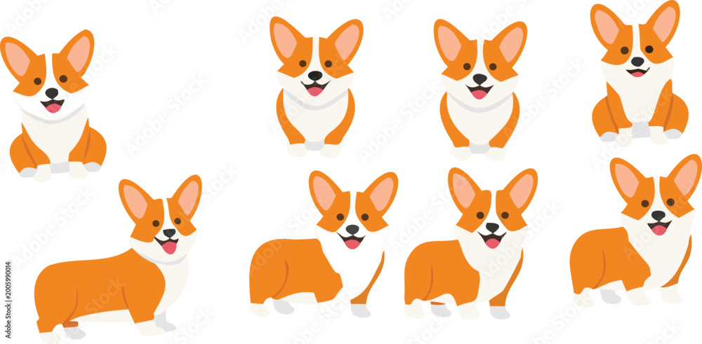 Obraz premium Corgi dog vector set with cute cartoon puppies in different poses, adorable pet collection for animal lovers, kids illustration and design