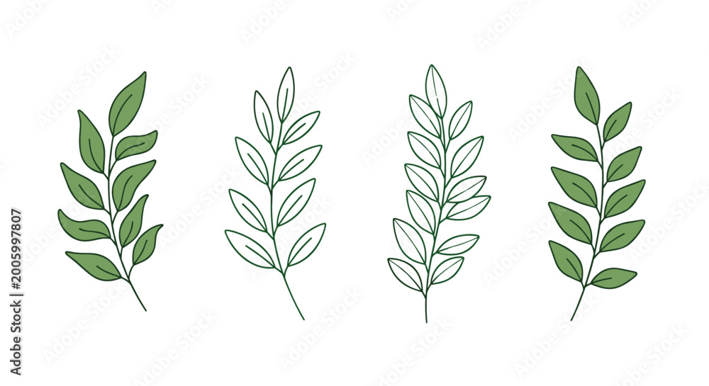 Obraz premium Set of four different green leafy branches and botanical sprigs in various artistic styles for nature design projects.