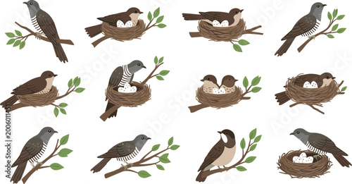Fotografija Bird nesting icons vector set with parent birds eggs chicks and branches for wil