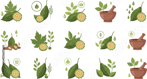 Quadro su tela Bitter melon herbal icons vector set with karela leaves slices and mortar pestle