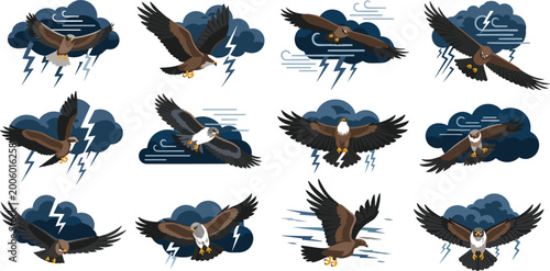 Photography Eagle storm action illustration vector set with flying birds thunder clouds ligh