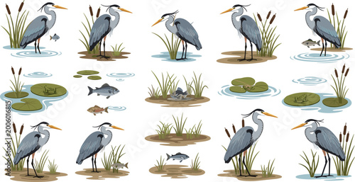 Obraz na plátně Heron wetland scene icons vector set with wading birds fish reeds and lily pads
