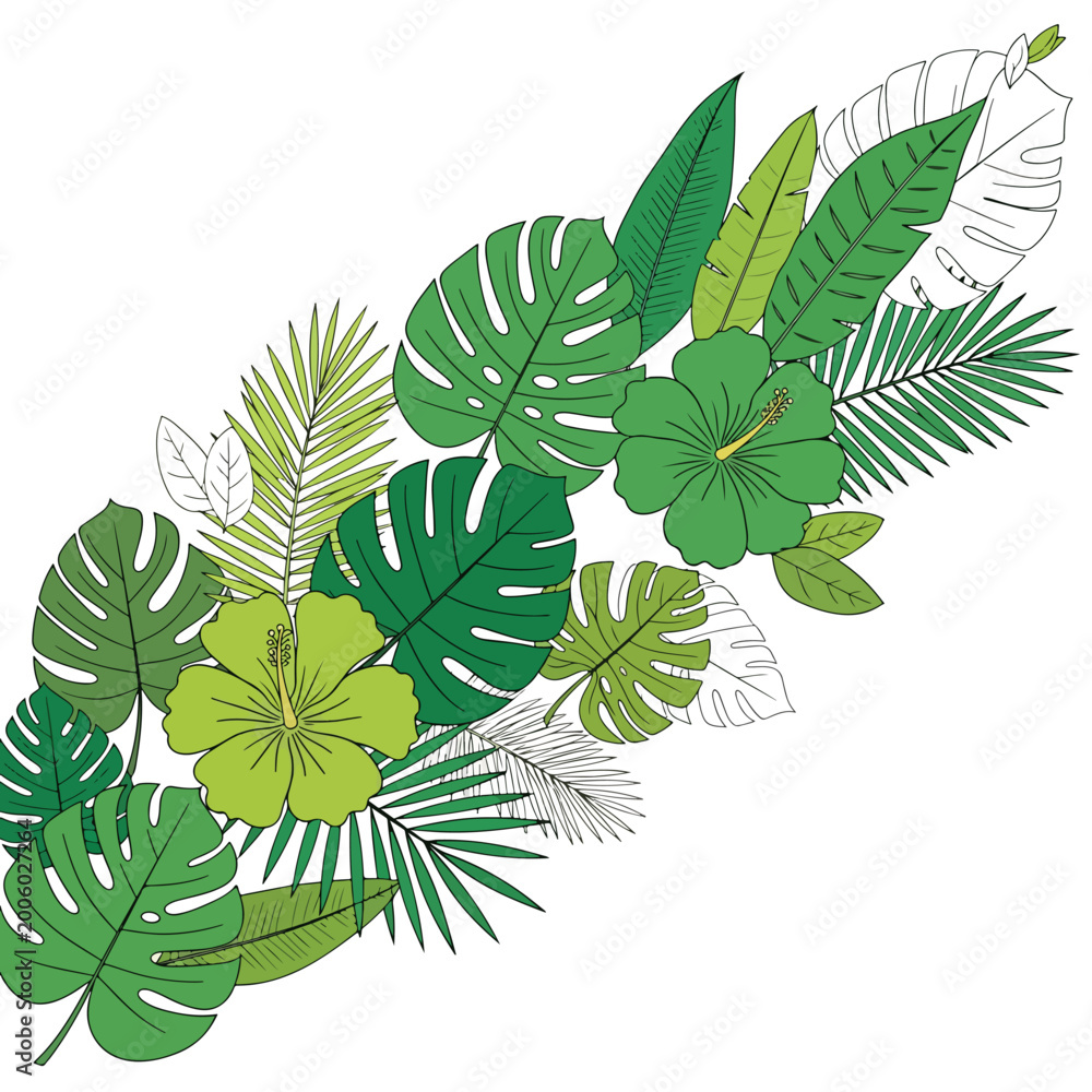 Fototapeta premium Collection of various green tropical leaves 2.