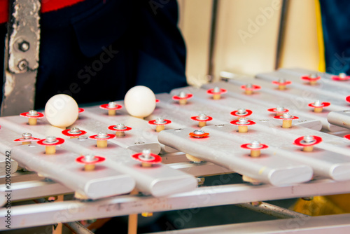 Marching band glockenspiel performance in outdoor parade with natural light