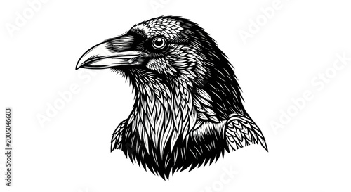 Foto Detailed illustration of a raven head.