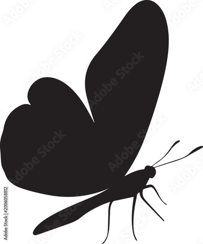 butterfly with open wings insect silhouette vector, black and white silhouette vector illustration