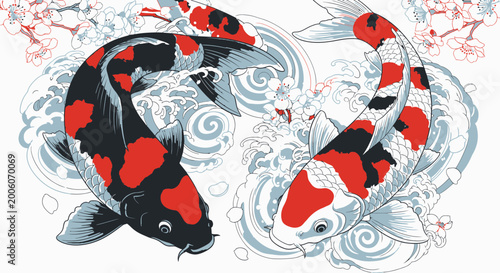 Traditional Japanese Style Koi Fish Vector with Cherry Blossoms