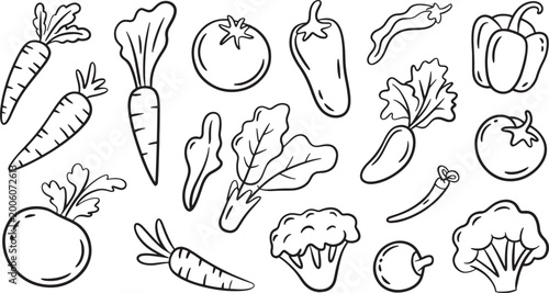 Bild auf Leinwand Collection of fresh vegetables hand drawn doodle style illustration for healthy food design